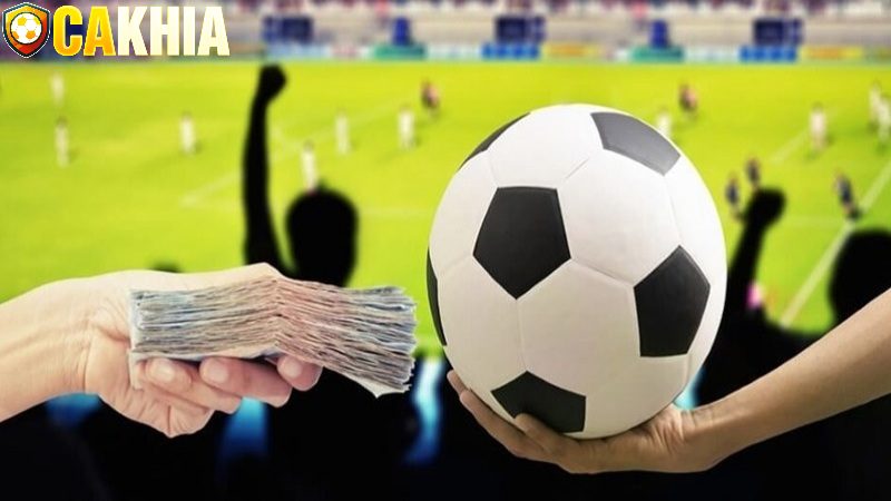 Tham khảo ý kiến chuyên gia giúp cược kèo 1 trái hiệu quả